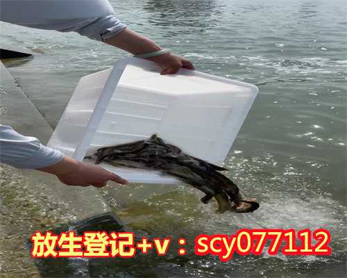 潮州怎样放生最灵,潮州哪里可以放生红鲤鱼呢