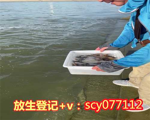 鱼放生大河还是小河，亳州一村民涡河水域捕到一条娃娃鱼目前已放生