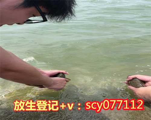 黑龙江的鳝鱼要放生吗，黑龙江省天主教两会举行第三次义诊活动