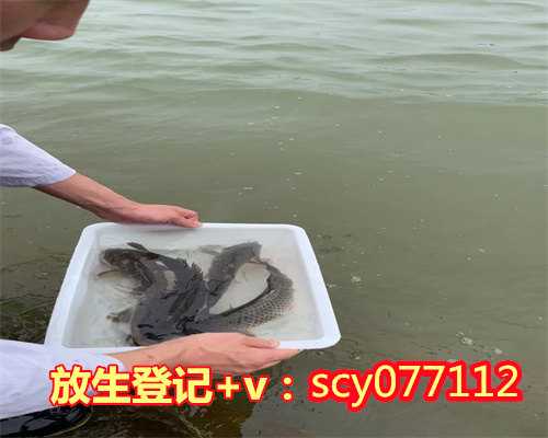天津哪里允许放生黄鳝的地方，天津新增1例本土