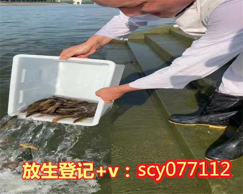 天津适合放生的鱼类有哪些，妙祥法师：一领导得白血病，将天津海鲜全买了放