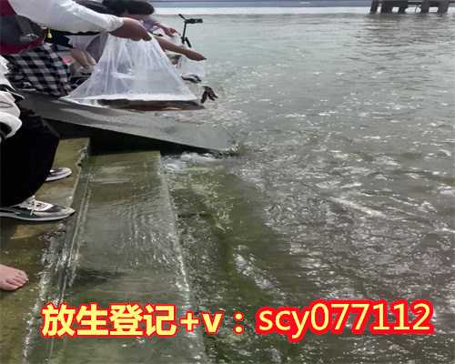 济南哪儿有放生池，济南放生协会大明湖禁止投放食人鱼