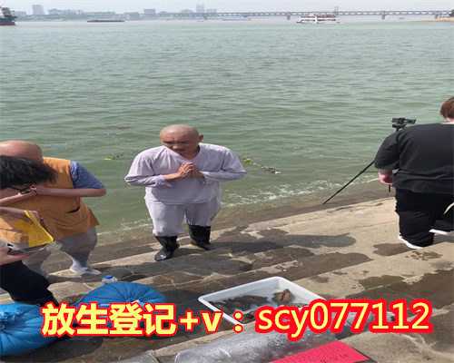 放生后消业障的表现滁州,滁州公园放生黄鳝【放